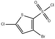 3-브로모-5-클로로티오펜-2-설포닐클로라이드