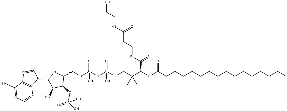 棕榈酰辅酶A,钾盐 结构式