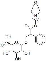 Scopolamine -D-Glucuronide