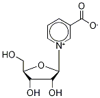 ニコチン酸リボシド 化学構造式