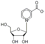 Nicotinic Riboside Structure