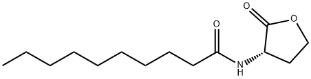 C10-HOMOSERINE LACTONE 化学構造式