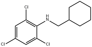 CYCLOHEXYLMETHYL-(2,4,6-TRICHLORO-PHENYL)-AMINE Struktur