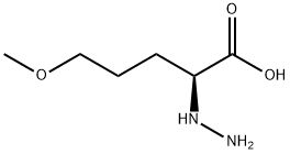 Pentanoic acid, 2-hydrazino-5-methoxy-, (S)- (9CI) Struktur