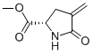 L-Proline, 4-methylene-5-oxo-, methyl ester (9CI) Structure