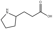 3-Pyrrolidin-2-yl-propionic acid Structure