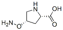 L-프롤린,4-(아미노옥시)-,(4S)-(9CI)
