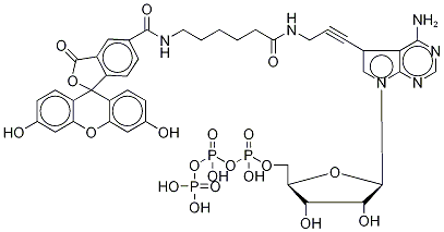 Fluorescein Alkynylamino-ATP Structure