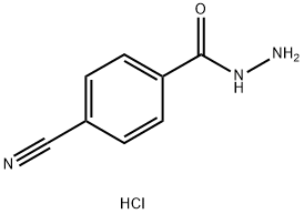 4-Cyanobenzohydrazide hydrochloride Struktur