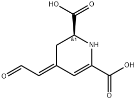 (2S,4E)-1,2,3,4-Tetrahydro-4-(2-oxoethylidene)pyridine-2,6-dicarboxylic acid 结构式