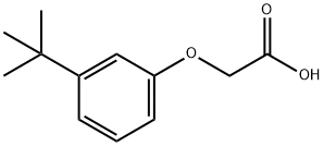 [3-(1,1-dimethylethyl)phenoxy]acetic acid Struktur