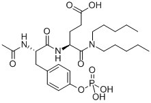 N-ACETYL-O-PHOSPHONO-TYR-GLU DIPENTYLAMIDE|AC-TYR(PO3H2)-GLU-DIPENTYLAMIDE