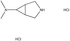 N,N-Dimethyl-3-azabicyclo[3.1.0]-hexan-6-amine dihydrochloride,1909337-55-8,结构式