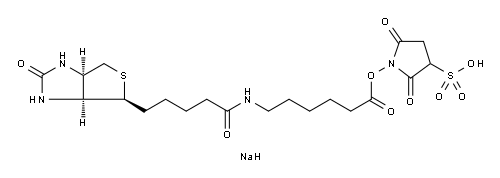 191671-46-2 生物素化-EPSILON-氨基己酸-N-羟基磺基丁二酰亚胺活化酯
