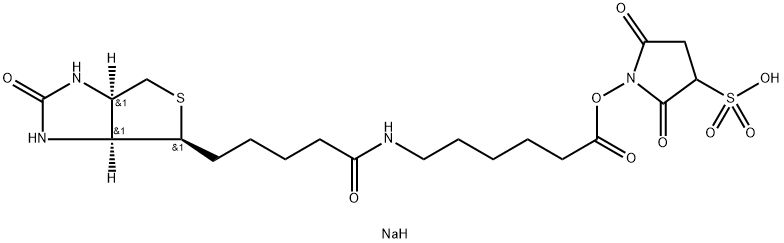 191671-46-2 生物素化-EPSILON-氨基己酸-N-羟基磺基丁二酰亚胺活化酯