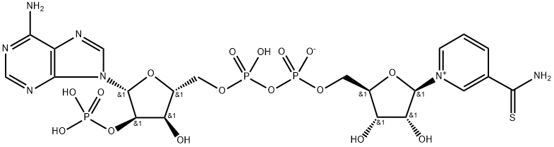ADENOSINE 5'-(TRIHYDROGEN DIPHOSATE), 2'-(SODIUM HYDROGEN PHOSPHATE), P',5'-ESTER WITH 3-(AMINOTHIOXOMETHYL)-1-BETA-D-RIBOFURANOSYLPYRIDIUM INNER SALT|化合物 Thio-NADP