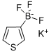 チオフェン-3-トリフルオロほう酸カリウム 化学構造式