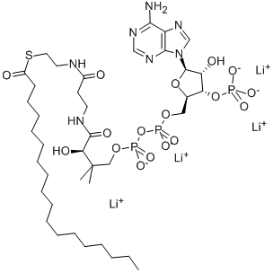 N-OCTADECANOYL COENZYME A LITHIUM SALT Struktur