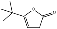 5-叔丁基-2(3H)-呋喃酮, 19918-17-3, 结构式