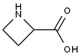 アゼチジン-2-カルボン酸 化学構造式