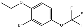 2-BROMO-1-ETHOXY-4-(TRIFLUOROMETHOXY)BENZENE 结构式