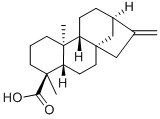 カウラ-16-エン-19-酸 化学構造式