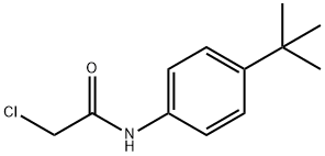 N1-[4-(TERT-BUTYL)PHENYL]-2-CHLOROACETAMIDE 结构式