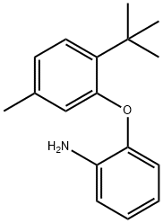 2-(2-tert-butyl-5-methylphenoxy)aniline Struktur