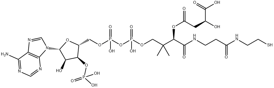 4-[2-[3-[4-[[[5-(6-aminopurin-9-yl)-4-hydroxy-3-phosphonooxy-oxolan-2-yl]methoxy-hydroxy-phosphoryl]oxy-hydroxy-phosphoryl]oxy-2-hydroxy-3,3-dimethyl-butanoyl]aminopropanoylamino]ethylsulfanyl]-2-hydroxy-4-oxo-butanoic acid 结构式
