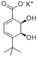 (2R,3S)-1-カルボキシ-4-TERT-ブチル-2,3-ジヒドロキシシクロヘキサ-4,6-ジエンカリウム 化学構造式