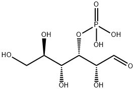 20701-41-1 Structure
