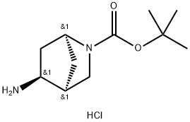 tert-Butyl 5-aMino-2-aza-bicyclo[2.2.1]heptane-2-carboxylate hydrochloride Struktur