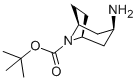 N-Boc-endo-3-aminotropane 化学構造式