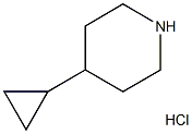 4-cyclopropyl piperidine hydrochloride Struktur