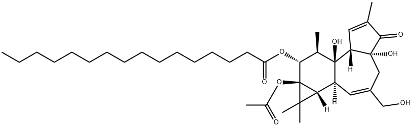 12-O-hexadecanoylphorbol-13-acetate Struktur