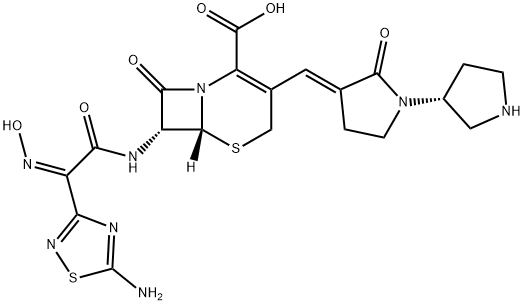 Ceftobiprole Struktur