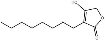 4-Hydroxy-3-octyl-2(5H)-furanone|