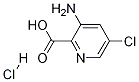 3-アミノ-5-クロロピリジン-2-カルボン酸塩酸塩 化学構造式