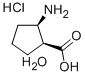 CIS-2-AMINO-1-CYCLOPENTANECARBOXYLIC ACID HYDROCHLORIDE HEMIHYDRATE, 99 Structure