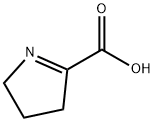 3,4-dihydro-2H-pyrrole-5-carboxylic acid 结构式