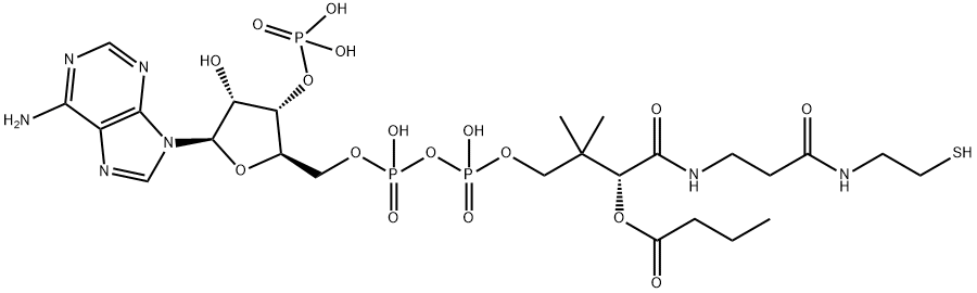 [5-(6-aminopurin-9-yl)-2-[[[[3-[2-(2-butanoylsulfanylethylcarbamoyl)ethylcarbamoyl]-3-hydroxy-2,2-dimethyl-propoxy]-hydroxy-phosphoryl]oxy-hydroxy-phosphoryl]oxymethyl]-4-hydroxy-oxolan-3-yl]oxyphosphonic acid 结构式