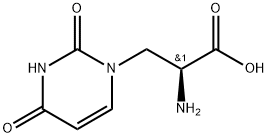 3-[2,4(1H,3H)-ジオキソピリミジン-1-イル]アラニン 化学構造式