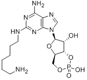 2-(6-AMINOHEXYL) AMINOADENOSINE-3',5'-CYCLIC MONOPHOSPHATE Struktur