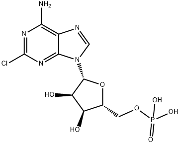2-Chloro-AMP Struktur