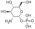 ALPHA-D-GLUCOSAMINE 1-PHOSPHATE Struktur