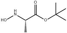 Alanine, N-hydroxy-, 1,1-dimethylethyl ester (9CI) Struktur