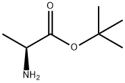 tert-butyl L-alaninate Structure