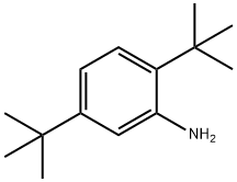 2,5-ジ-TERT-ブチルアニリン 化学構造式