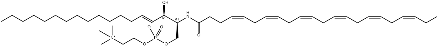 N-Docosahexaenoic SphingoMyelin Struktur