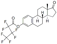 Estrone heptafluorobutyrate|